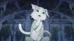 Puck Image Gallery Re Zero Wiki Fandom Puck Image Gallery Re Zero Wiki Fandom