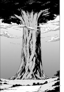 Flugel Tree Manga