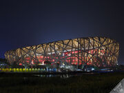 Birds Nest at Night