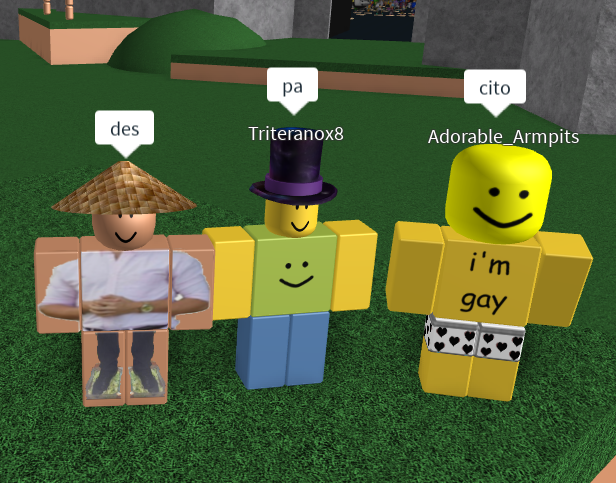 Roblox how : r/GoCommitDie