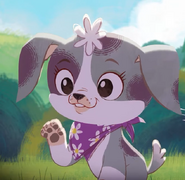 Daisy