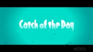 Catch of the Day