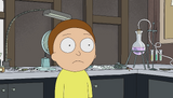 S1e2 morty