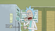 S1e6 rick ice