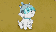 S1e2 Snuffles-helmet