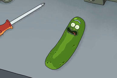 Pickle rick full episode free on sale