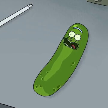 Pickle Rick Episode Rick And Morty Wiki Fandom Pickle rick is a version of rick sanchez first seen in a teaser for season 3 of rick and morty. pickle rick episode rick and morty