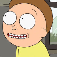 Morty Smith Rick And Morty Wiki Fandom This will likely increase the time it takes for your changes to go. morty smith rick and morty wiki fandom