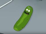 Pickle Rick/Transcript