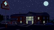 Horsehospitalnight