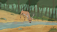 S2e6 deer