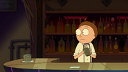 S3e7 nother bartender morty