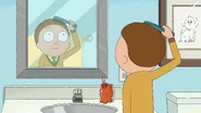 Morty combs his hair