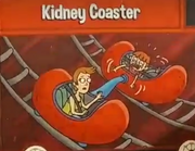 KidneyCoaster.png