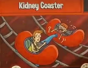 KidneyCoaster