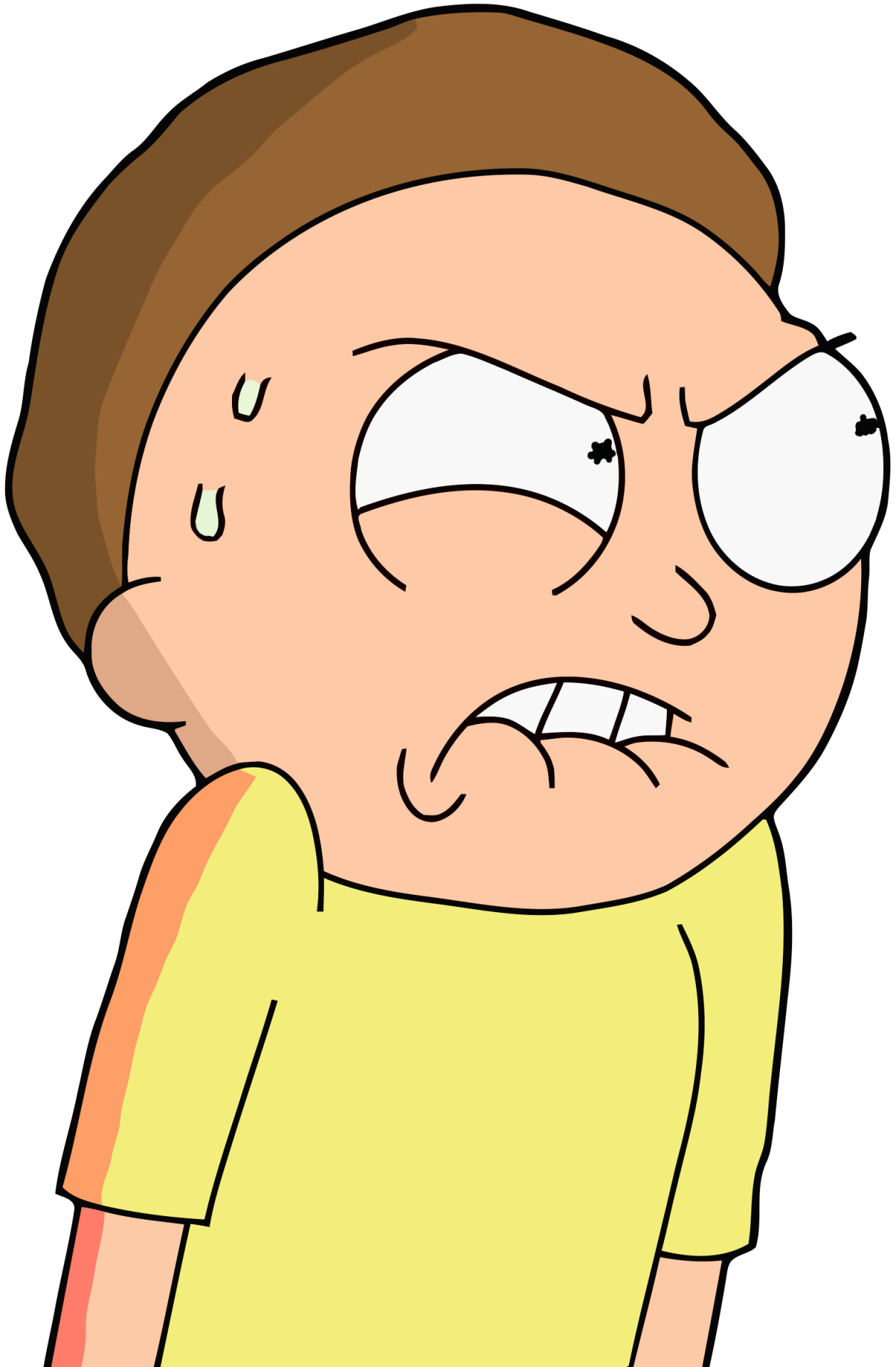 Morty Smith, Rick and Morty Wiki