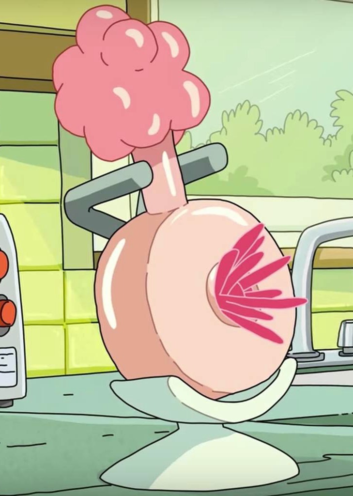 Everybody_has_a_Plumbus.JPG