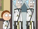 Citadel's militia