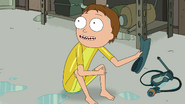 S3e7 wet hair morty