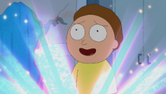 S1e11 morty sincere