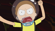 S1e3 feral morty