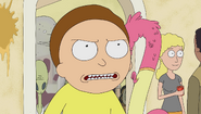 S1e11 mad morty