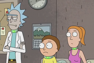 Pocket mortys dog collar cheap