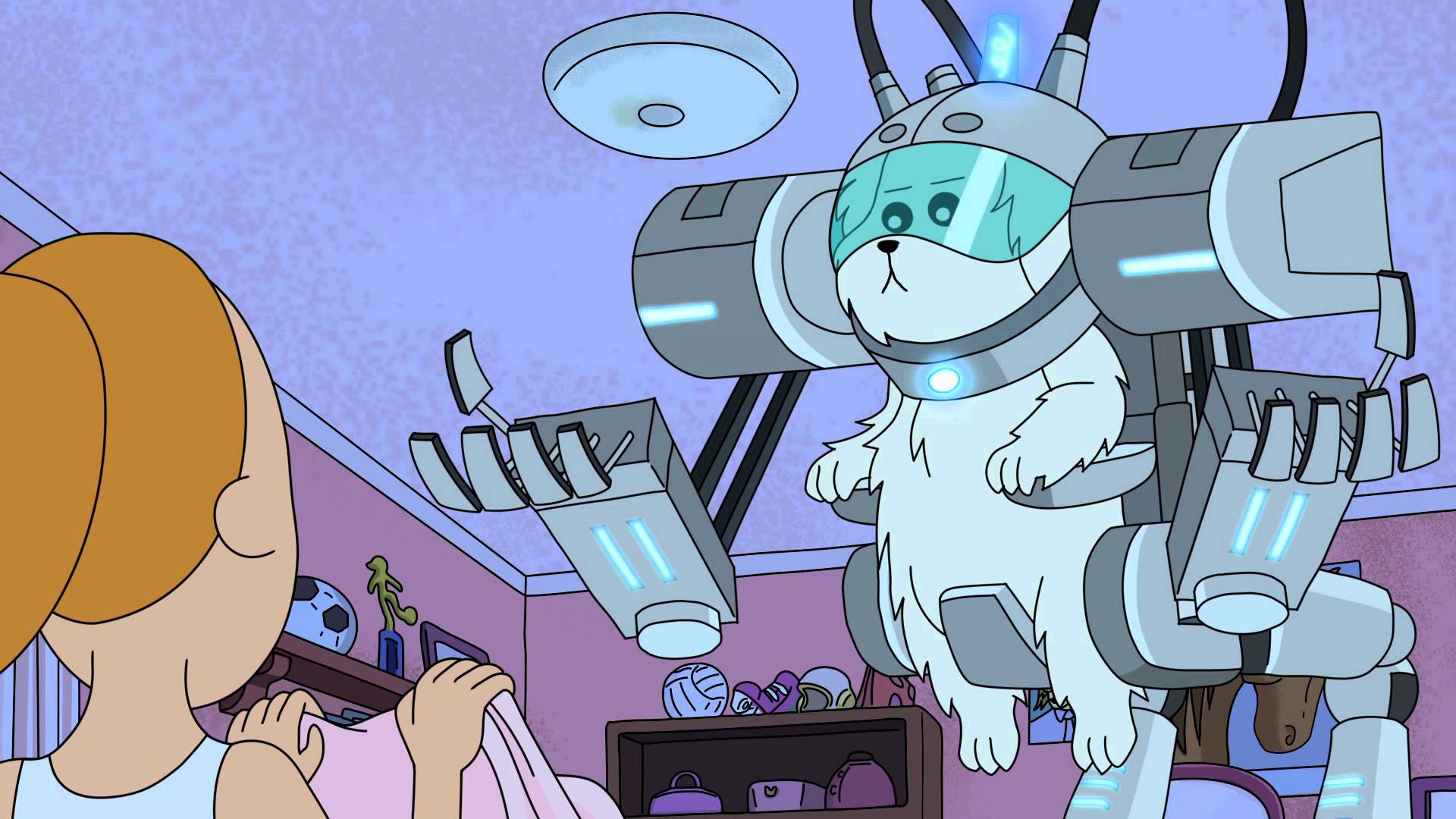 rick and morty episode 2 lawnmower dog