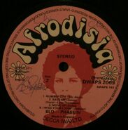 Afrodisia DWAPS2009 B.jpg (73 KB)