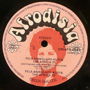 Afrodisia DWAPS2033 B.jpg (63 KB)