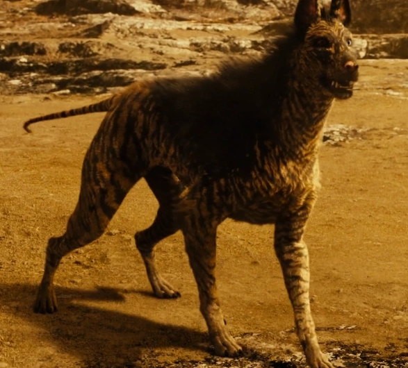 Собака из риддика