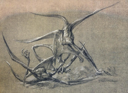Bioraptor by Patrick Tatopoulos