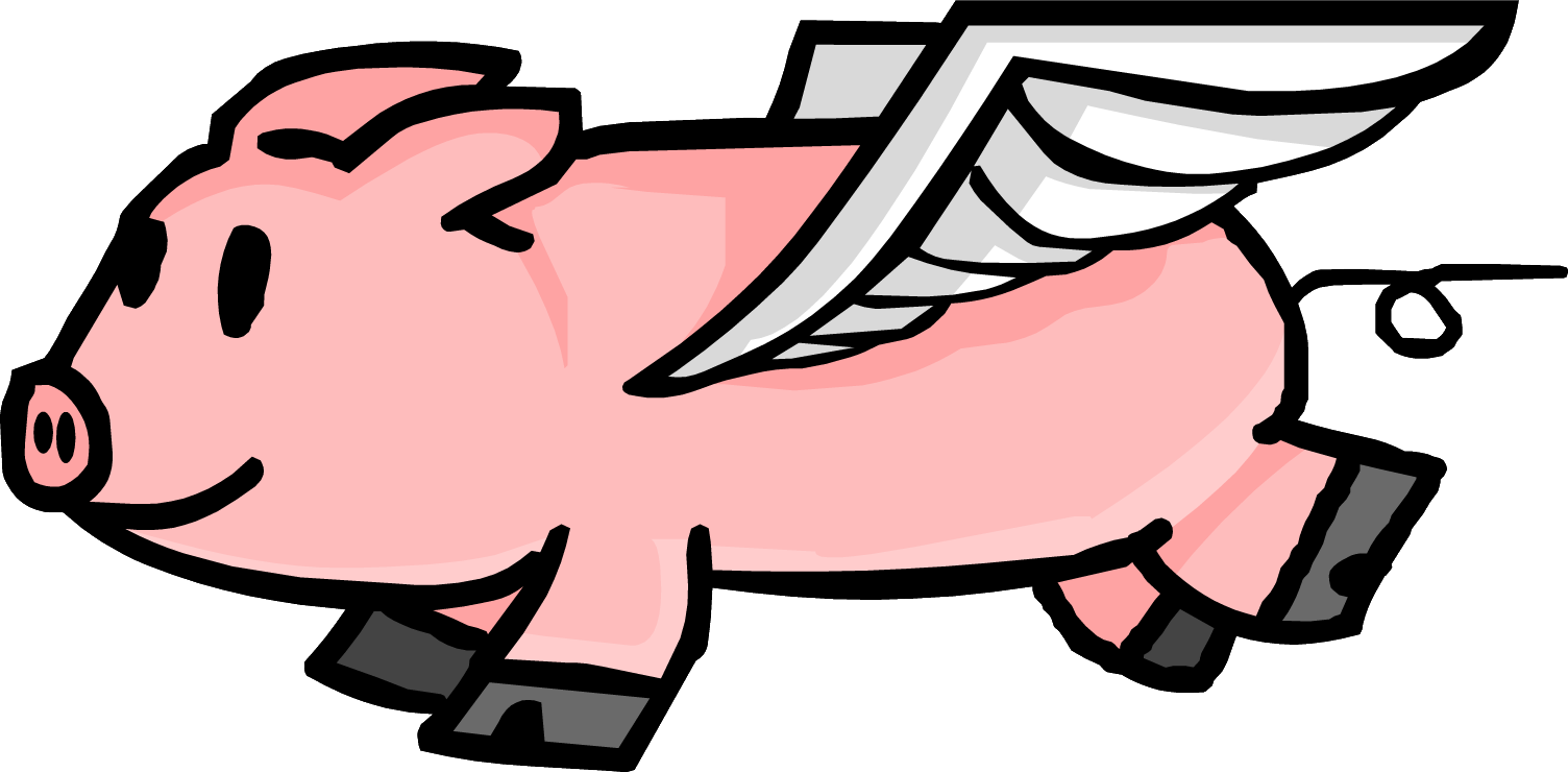 Fly Pig