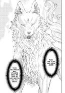 The Queen Garm's current appearance, as the newest Mountain Deity.