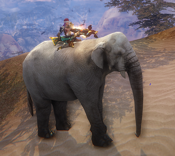 Tamed Akrat elephant