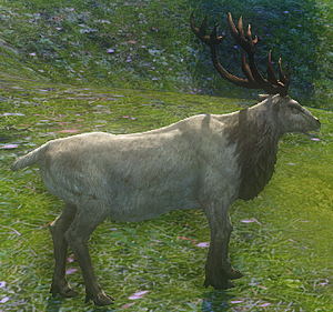 King's Caribou - Official Riders of Icarus Wiki