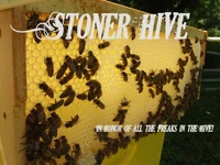 Stoner Hive
