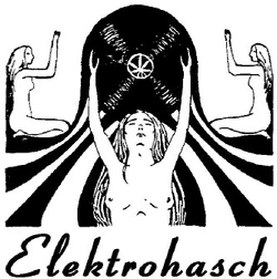 Elektrohasch Schallplatten