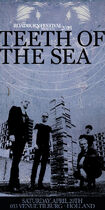 Roadburn 2013 - Teeth of the Sea