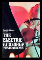 Roadburn 2013 - The Electric Acid Orgy