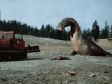 The Crater Lake Monster