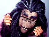 Professor Bobo