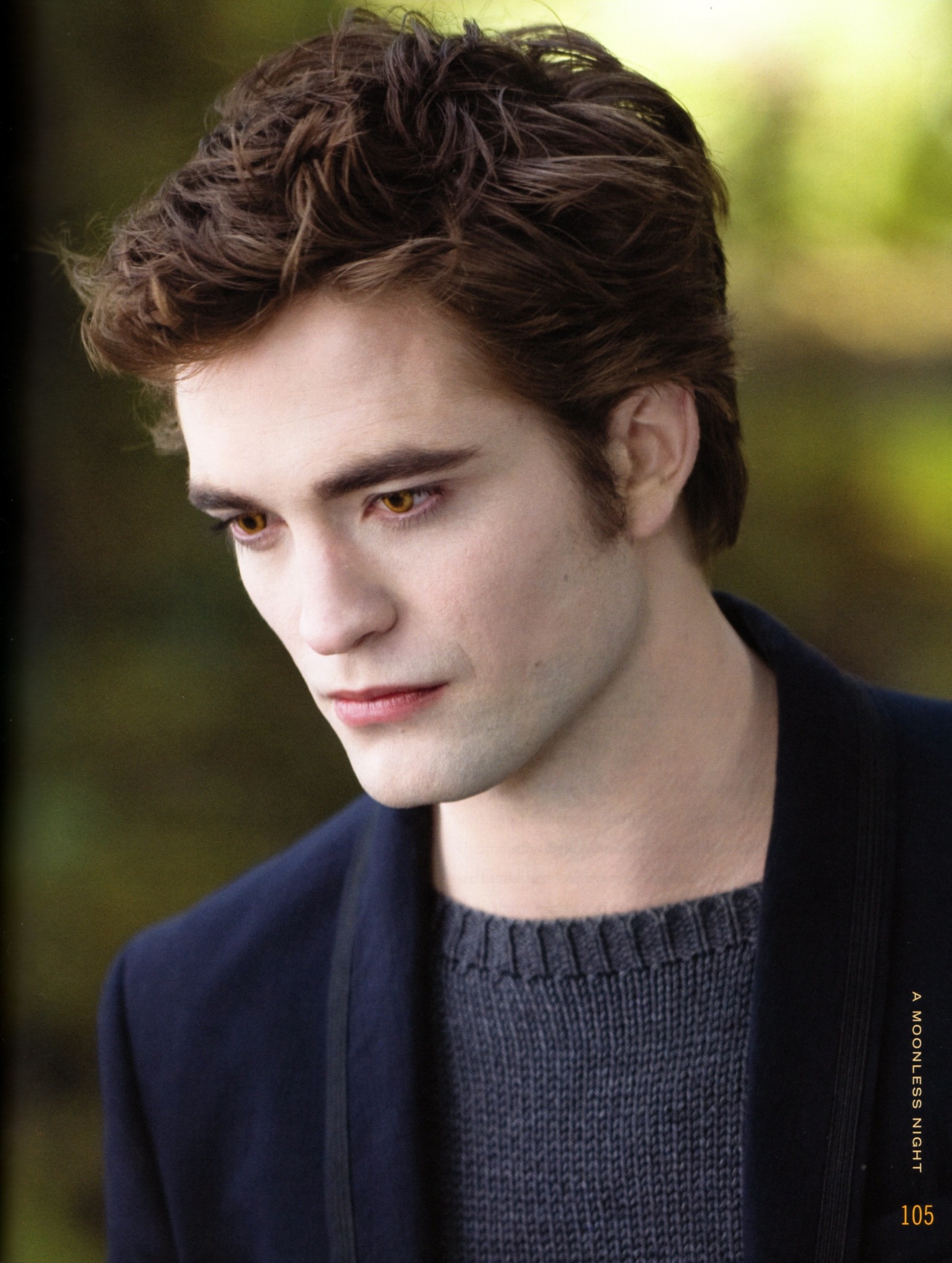 A Parody) Twilight Midnight Sun: Edward's by Cullen, E.