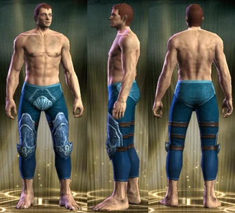 Guardian Raid Plate Set | Rift Wardrobe Wiki | Fandom