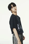 SM Rookies