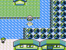 Seashore gym channeler.png
