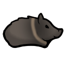 Peccary | RimWorld Bestiary Wiki | Fandom