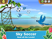 Sky Soccer.