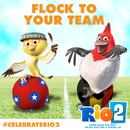 FLOCK TO YOUR TEAM (USA vs. Belgium).