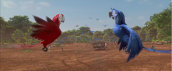 rio 2 felipe